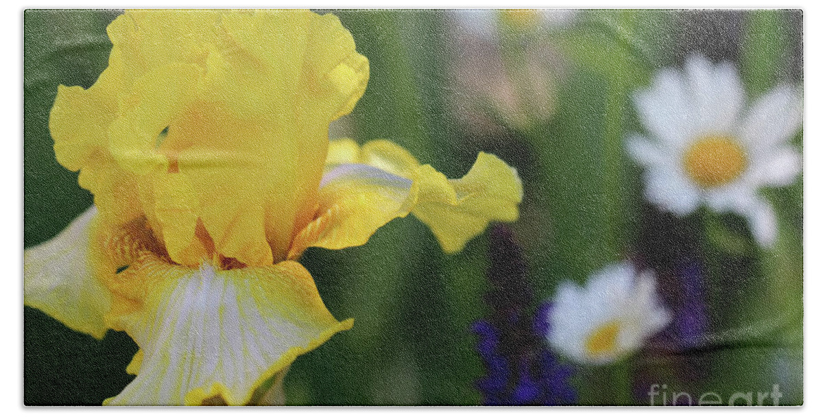 Flower Bath Towel featuring the photograph Yellow iris in Spring Garden by Karen Adams