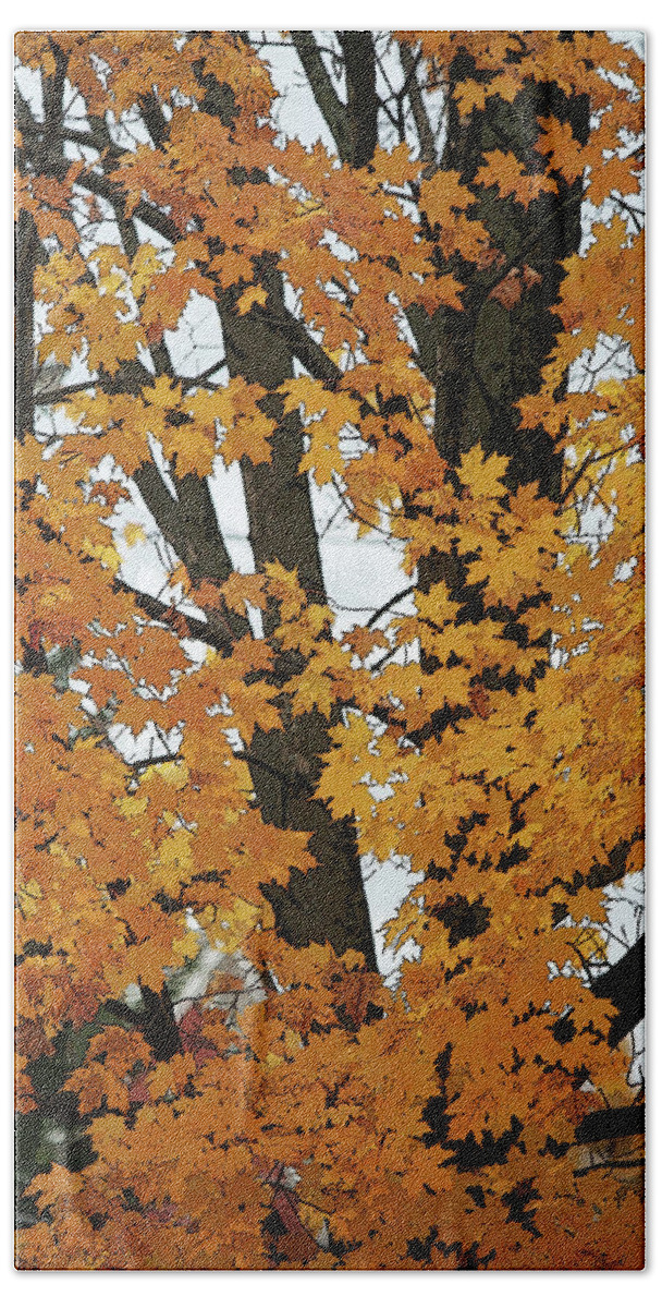 Yellow Bath Towel featuring the photograph Autumn - altered by Aggy Duveen