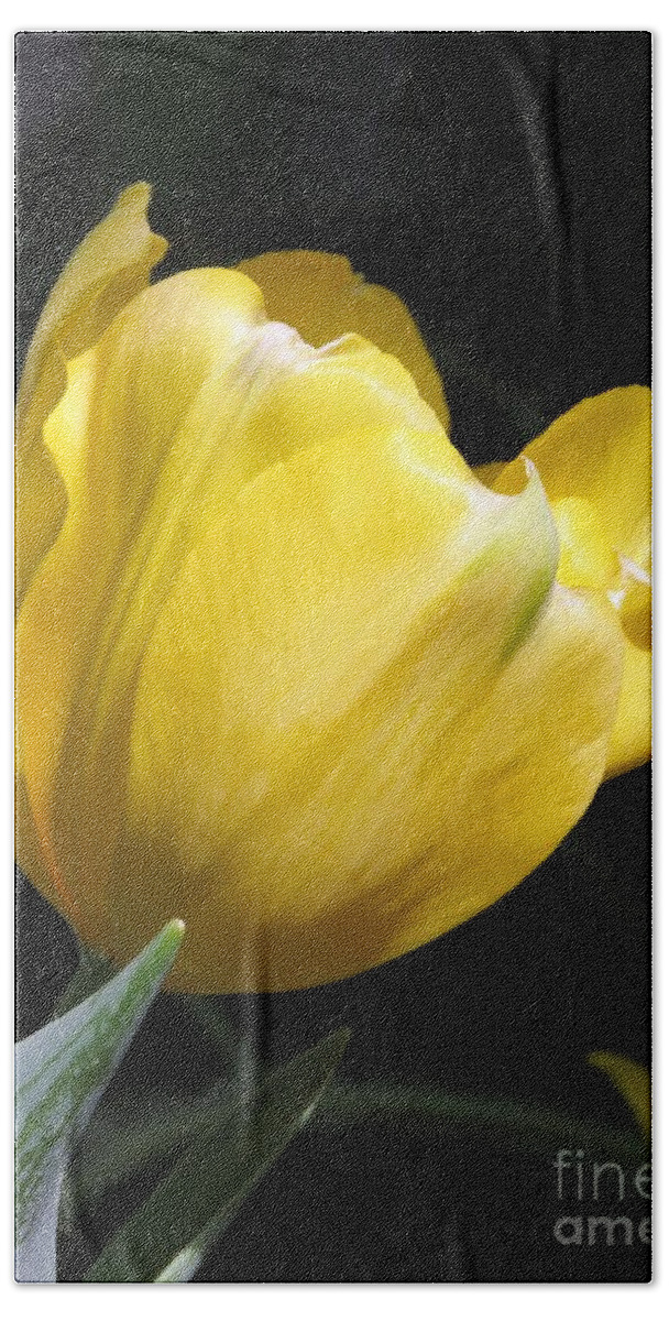 Tulip Bath Towel featuring the photograph Yellow Light by Anita Adams