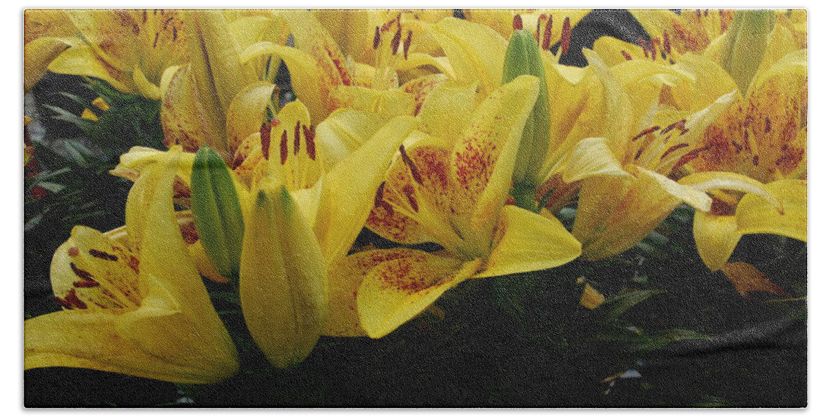 Yellow Lilies Hand Towel featuring the photograph Yellow Lilies by Ee Photography