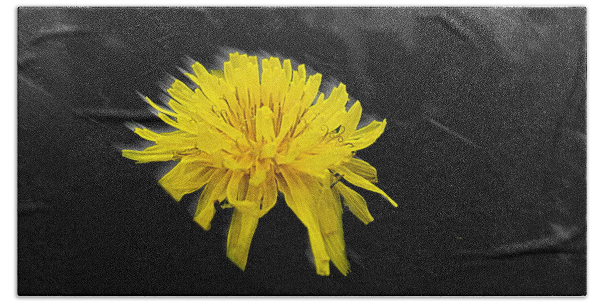 Yellow Flower Bath Towel featuring the photograph Yellow Motion by Maria Aduke Alabi