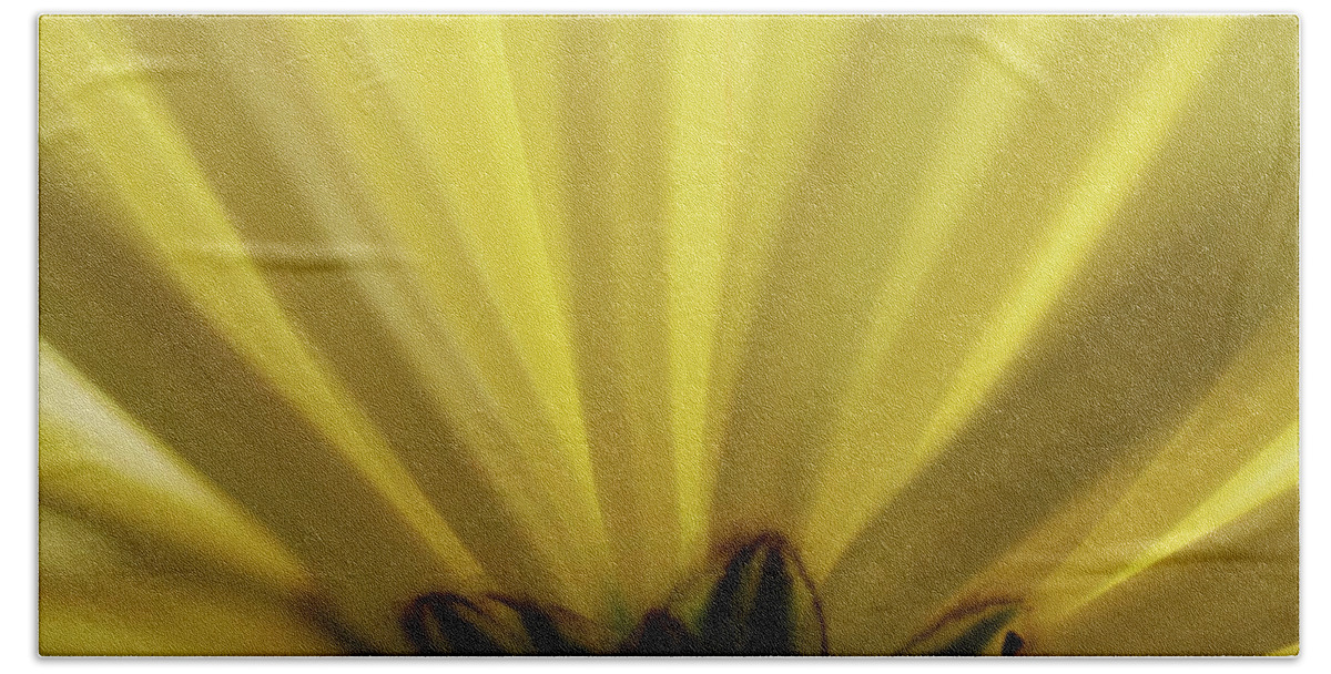 Photograph Bath Towel featuring the photograph Yellow Mum Petals #10 by Larah McElroy