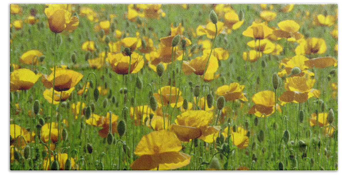 Composite Hand Towel featuring the digital art Yellow Poppy Field by Wolfgang Stocker