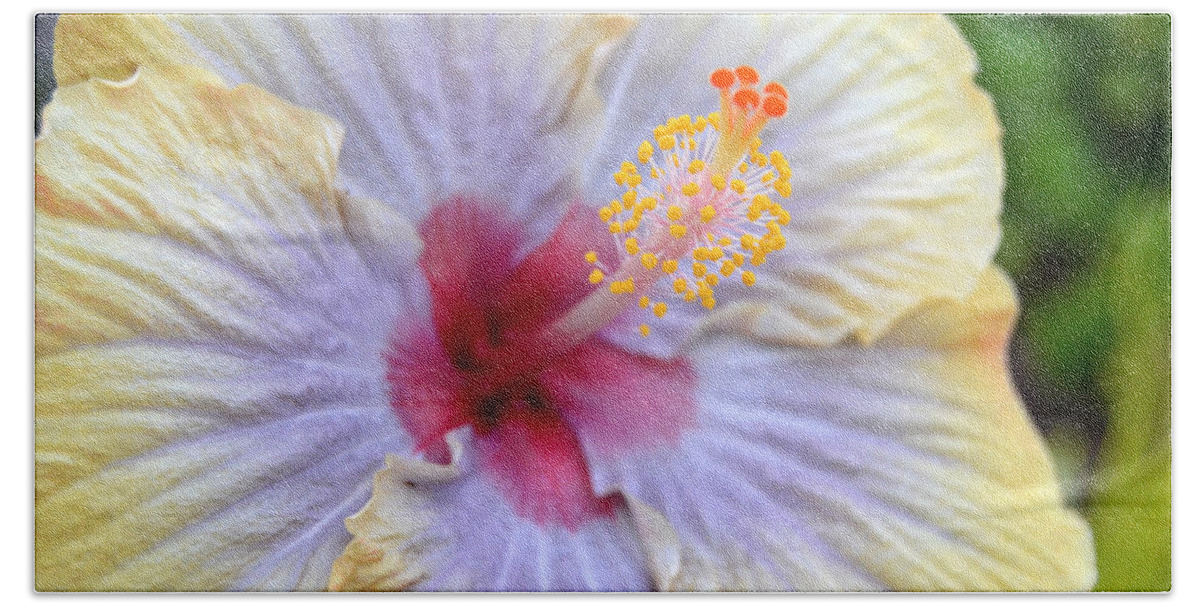 Flower Bath Towel featuring the photograph Yellow Purple Hibiscus 1 by Amy Fose