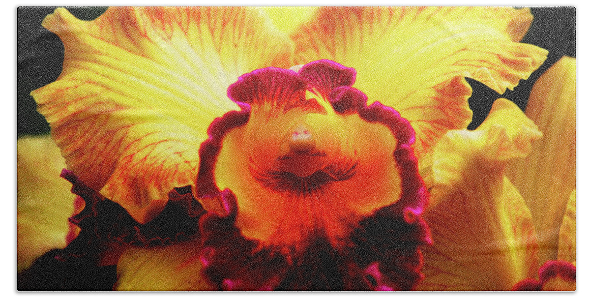 Hawaii Hand Towel featuring the photograph Yellow-Purple Orchid by Anthony Jones