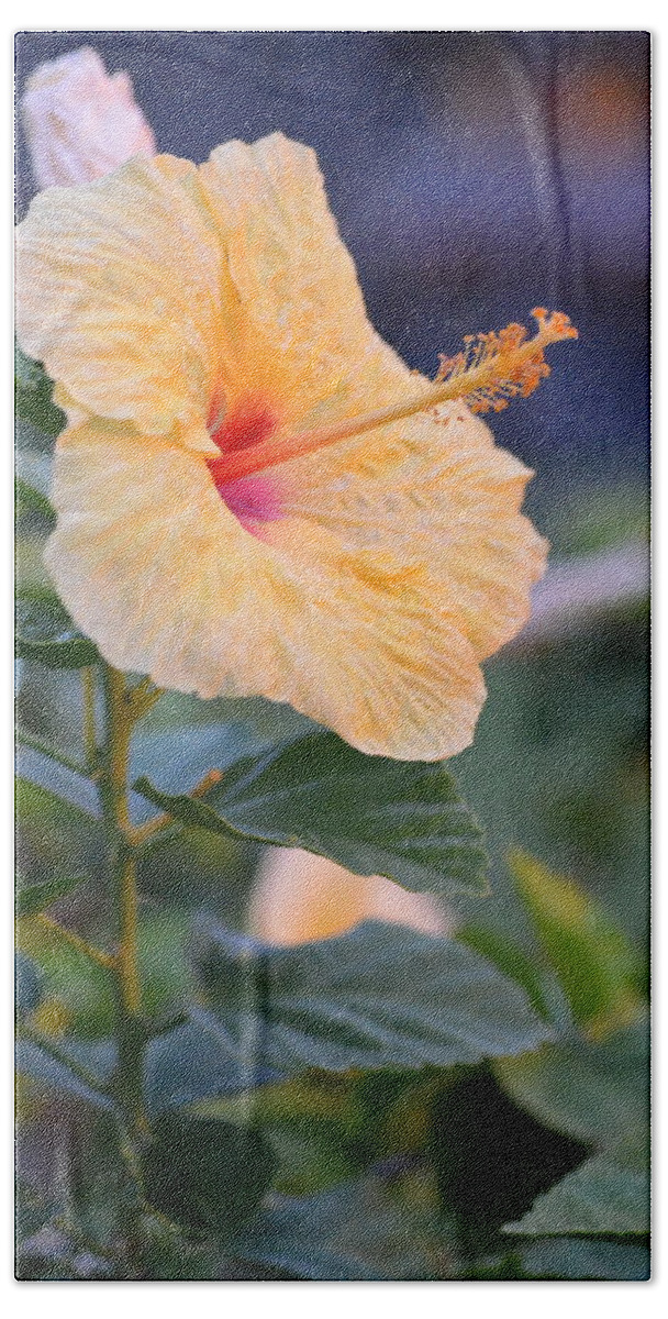 Flower Bath Towel featuring the photograph Yellow Red Hibiscus Profile by Amy Fose