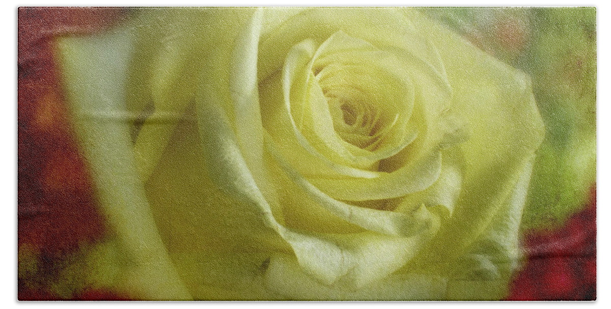 Flowers Hand Towel featuring the photograph Yellow Rose by Garry McMichael