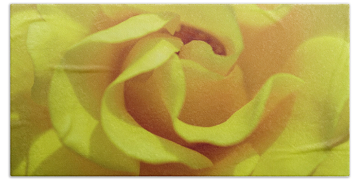 Rose Hand Towel featuring the photograph Yellow rose by Jocelyn Kahawai