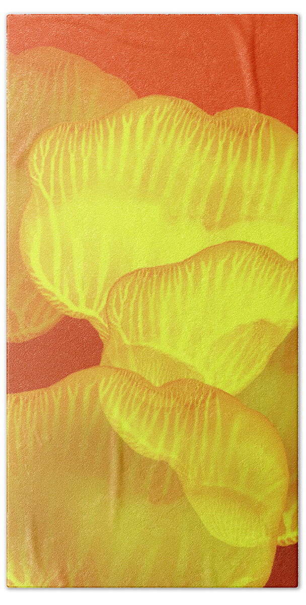 Abstract Hand Towel featuring the painting Yellow Rose Petals Falling in the Garden by Amy Vangsgard
