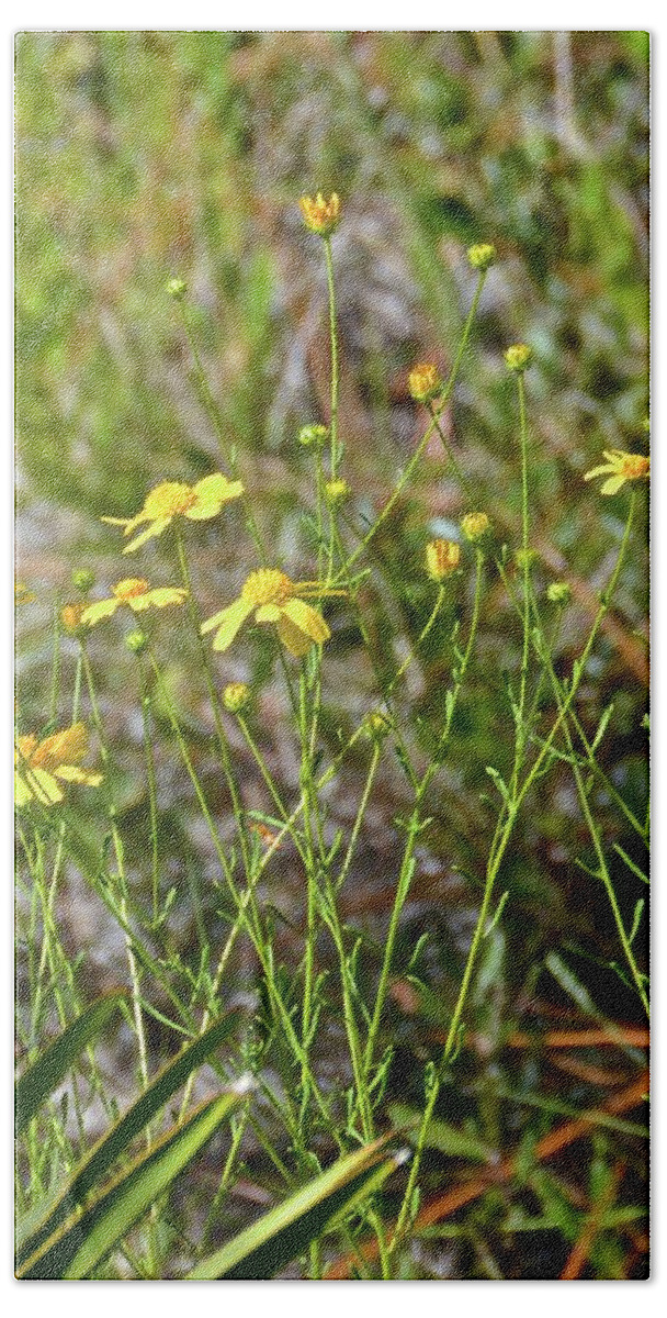 Flowers Bath Sheet featuring the photograph Yellow Wildflowers by Carol Bradley