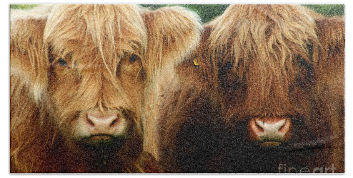 Cow Bath Towel featuring the photograph Yeti Cows by Ang El