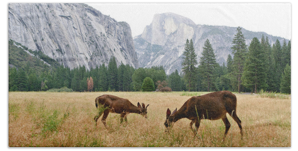 Patricia Sanders Hand Towel featuring the photograph Yosemite's Half Dome and Two Deer by Her Arts Desire