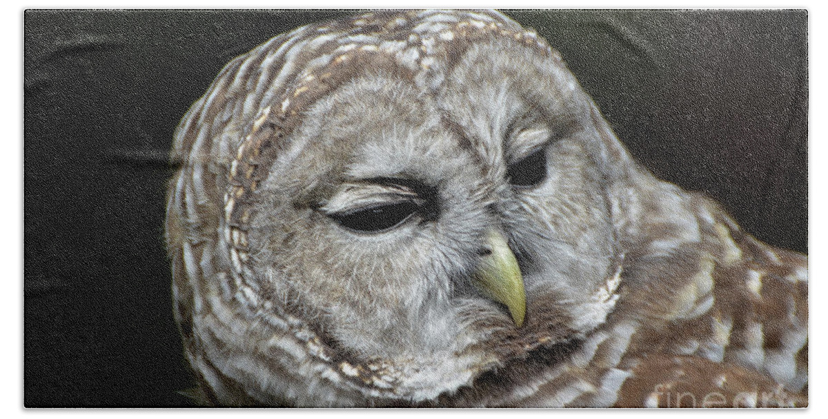 Barred Owl Owl Bath Towel featuring the photograph You Mean Whom? by Amy Porter