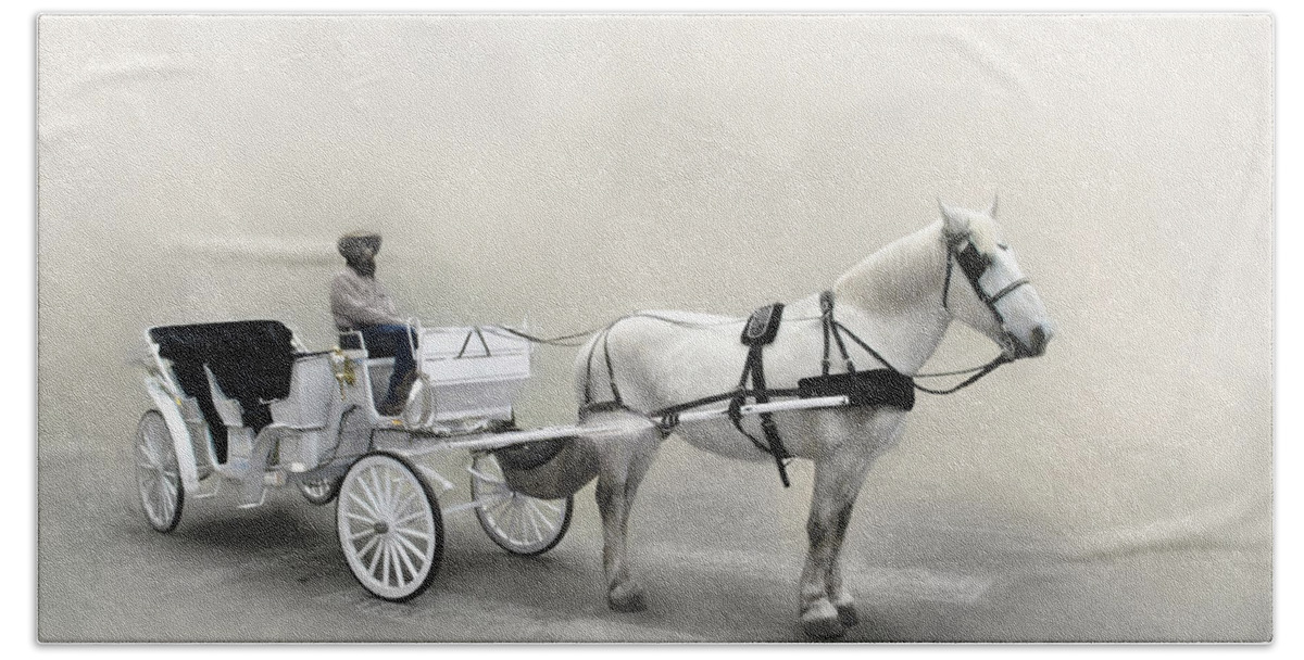 Animals Bath Towel featuring the photograph Your Carriage Awaits by David and Carol Kelly