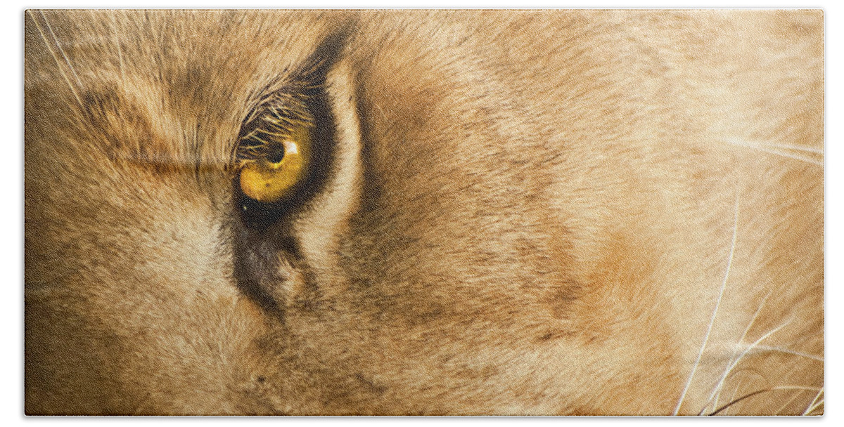 Lion Bath Towel featuring the photograph Your Lion Eye by Carolyn Marshall