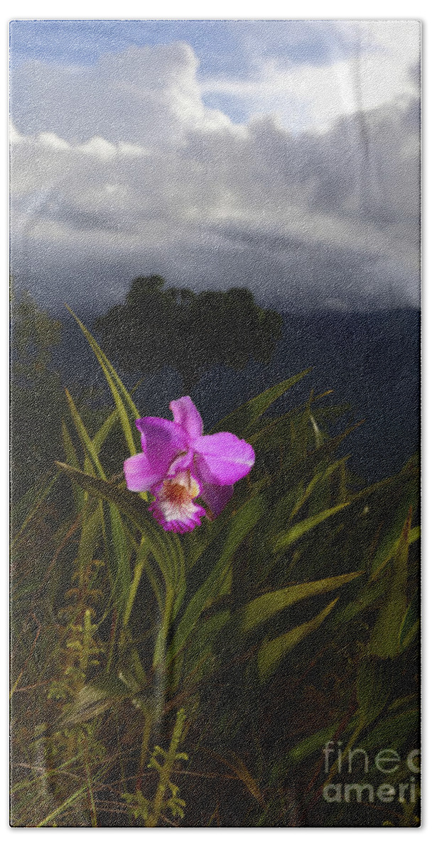 Orchids Hand Towel featuring the photograph Yungas Orchid Bolivia by James Brunker