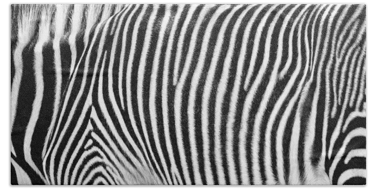 Zebra Print Hand Towel featuring the photograph Zebra Print Black and White Horizontal Crop by Good Focused