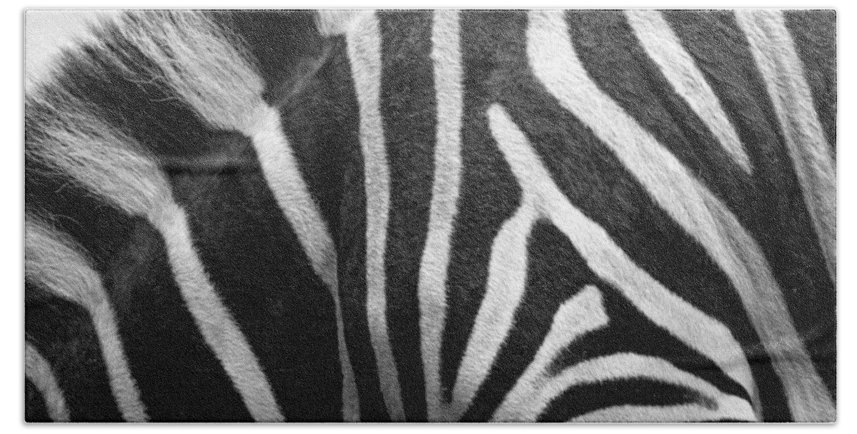 Zebra Hand Towel featuring the photograph Zebra Stripes by Racheal Christian