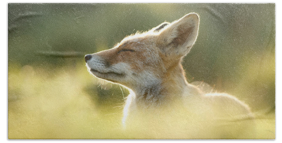 Fox Hand Towel featuring the photograph Zen Fox Series - Zen Fox Up Close by Roeselien Raimond
