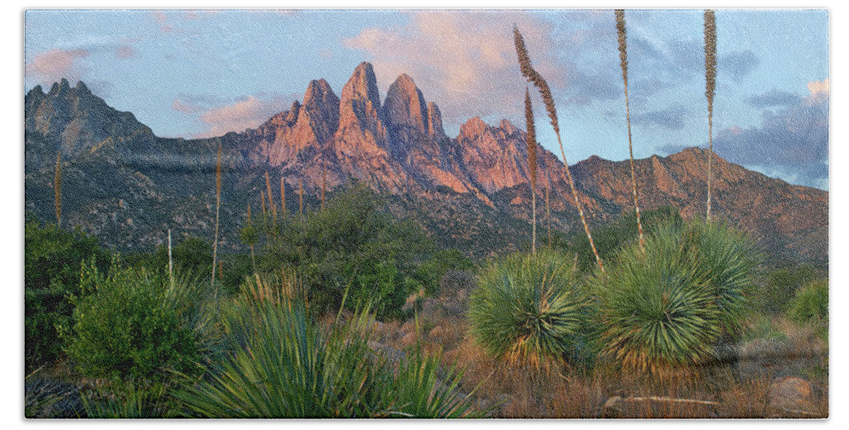 00557647 Bath Towel featuring the photograph Agave, Organ Mts, Aguirre Spring Nra, New Mexico #1 by Tim Fitzharris