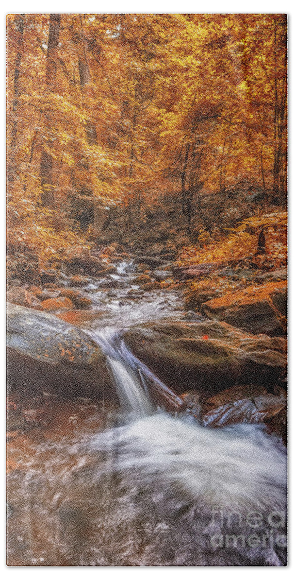 Amicalola-falls Hand Towel featuring the photograph Amicalola Falls #2 by Bernd Laeschke