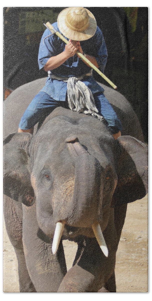 Chiang Hand Towel featuring the photograph An Elephant and Rider, Chiang Mai, Thailand #1 by Derrick Neill