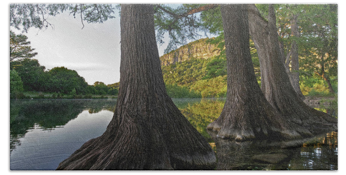 00567597 Bath Towel featuring the photograph Bald Cypress Trees In River, Frio River, Old Baldy Mountain, Garner State Park, Texas #1 by Tim Fitzharris