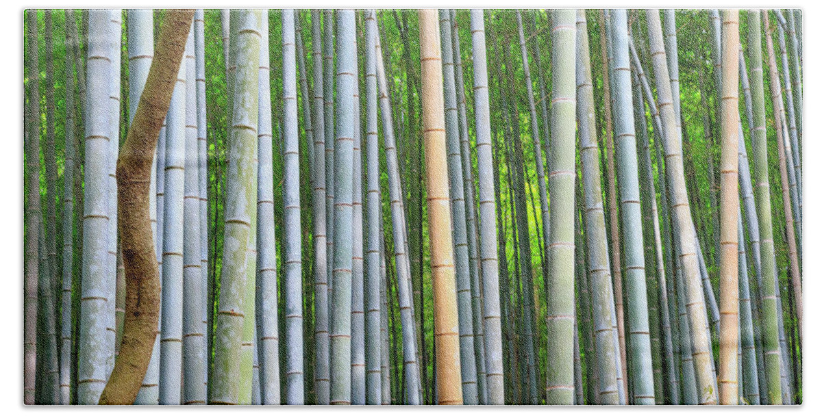 Estock Hand Towel featuring the digital art Bamboo Forest #1 by Maurizio Rellini
