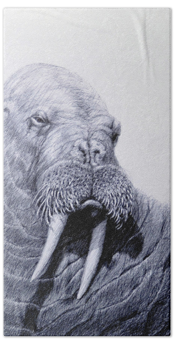Walrus Hand Towel featuring the drawing Big Bull by Rick Hansen