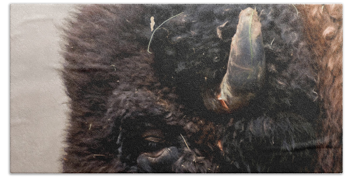 American Bison Hand Towel featuring the photograph Buffalo Head #1 by Pamela Steege