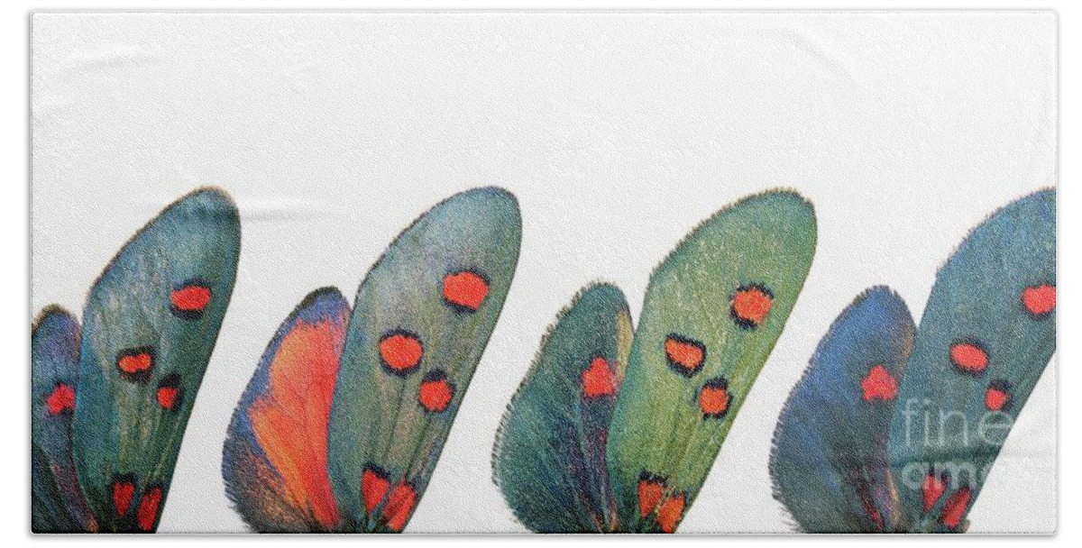 Specimen Hand Towel featuring the photograph Burnet moth wings by Martinez Clavel
