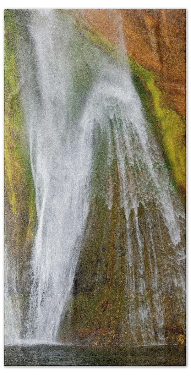 Jeff Foott Bath Towel featuring the photograph Calf Creek Falls In Utah #1 by Jeff Foott
