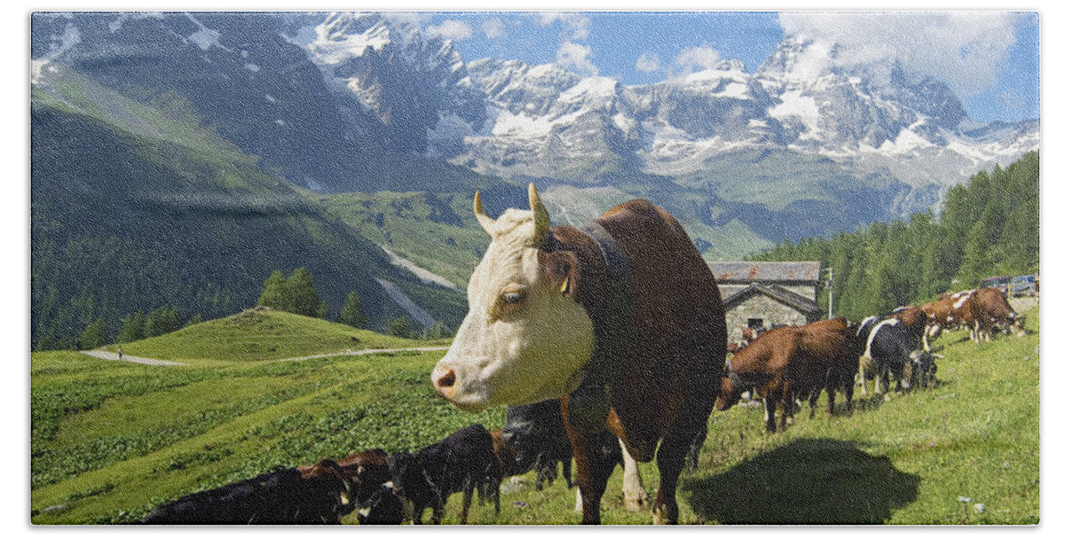 Estock Bath Towel featuring the digital art Cattle, Aosta Valley, Italy #1 by Davide Erbetta