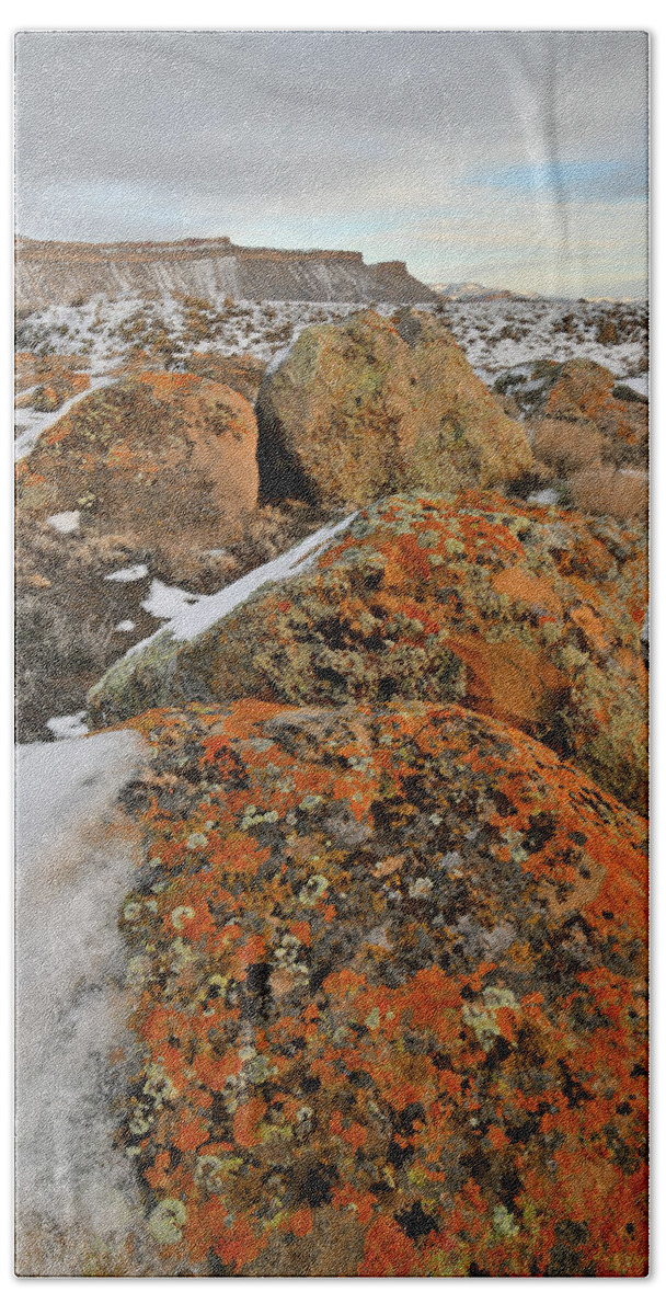 Book Cliffs Bath Towel featuring the photograph Colorful Boulders of the Book Cliffs #1 by Ray Mathis