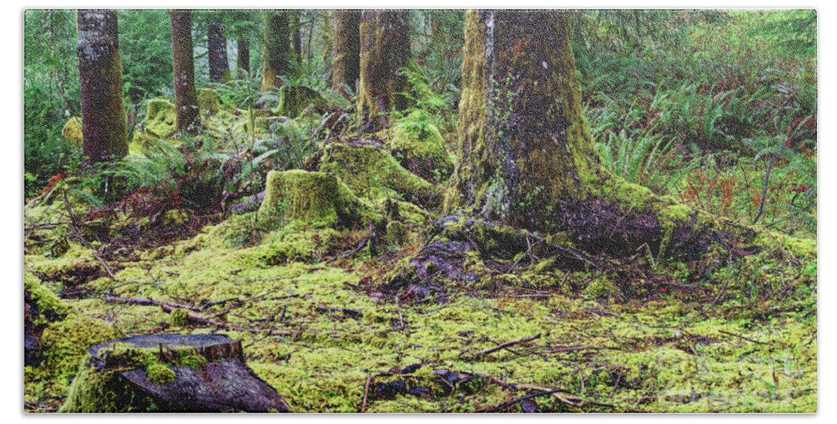 Close Up Bath Towel featuring the photograph Forest Understory Yellow Green Moss by Robert C Paulson Jr
