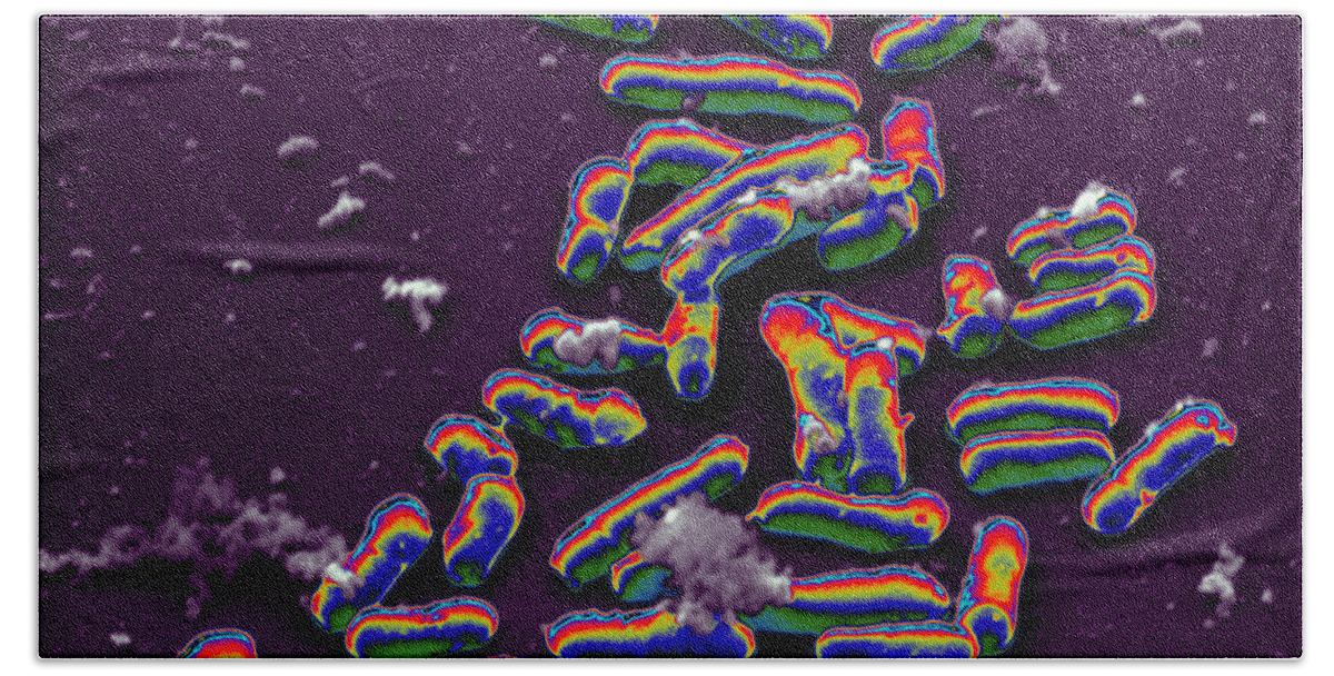 Bacillus Bath Towel featuring the photograph Corynebacterium Diphteriae #1 by Meckes/ottawa