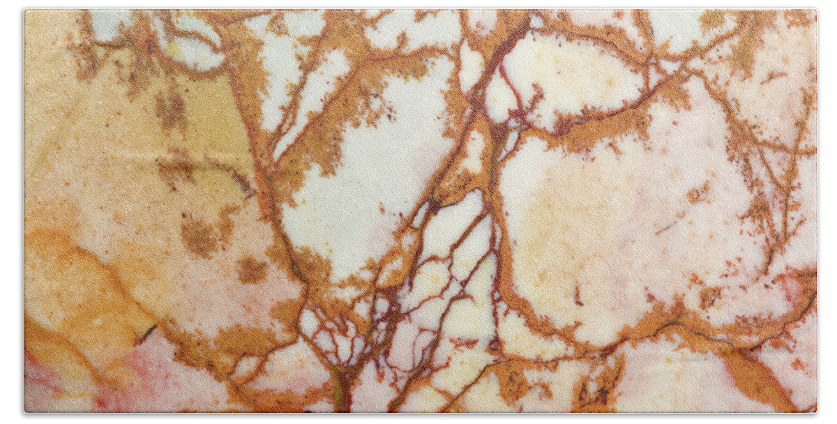 Abstract Bath Towel featuring the photograph Dead Camel Jasper, Close #1 by Mark Windom