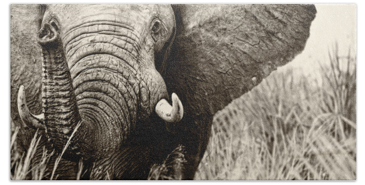 Estock Bath Towel featuring the digital art Elephant #1 by Andrew Stewart