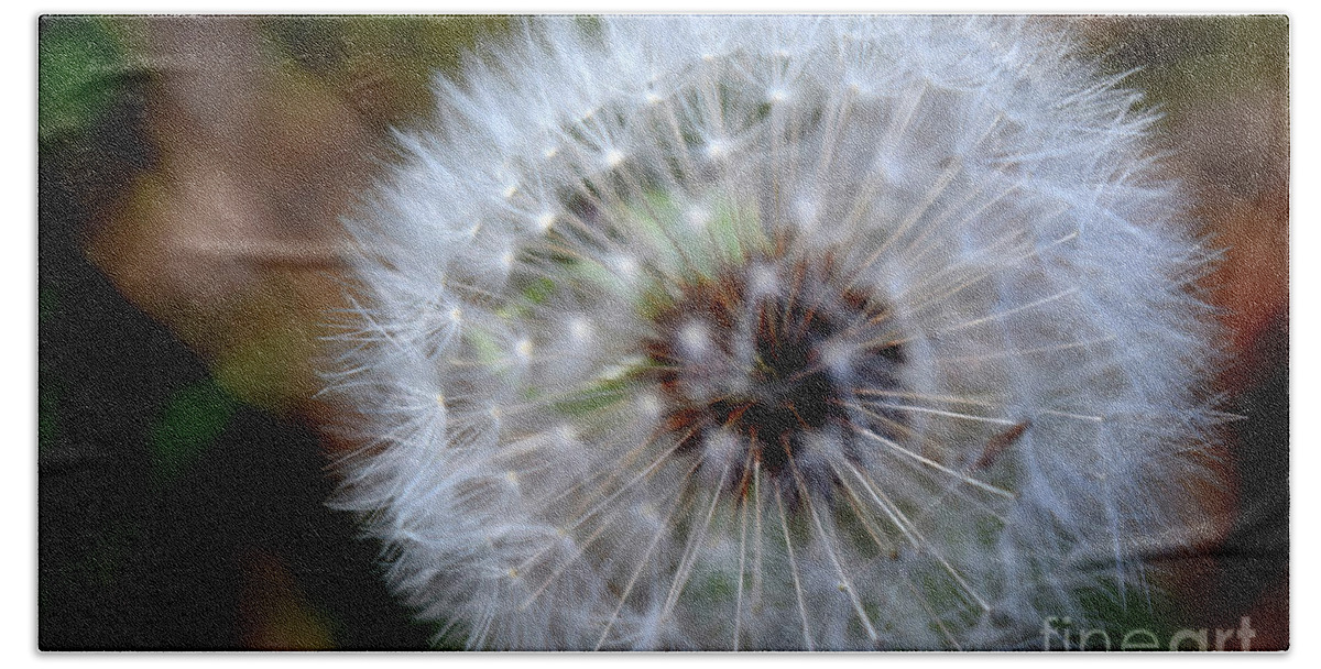 Dandelion Hand Towel featuring the photograph Make a Wish #1 by Deb Arndt