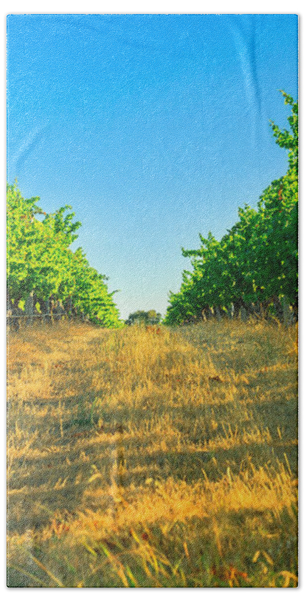 Vineyard Hand Towel featuring the photograph Margaret River Vineyard #1 by Benny Marty