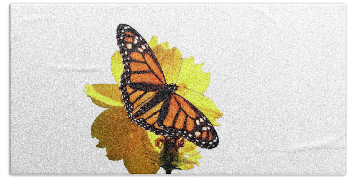 Monarch Butterfly Hand Towel featuring the photograph Monarch Butterfly #2 by Scott Cameron
