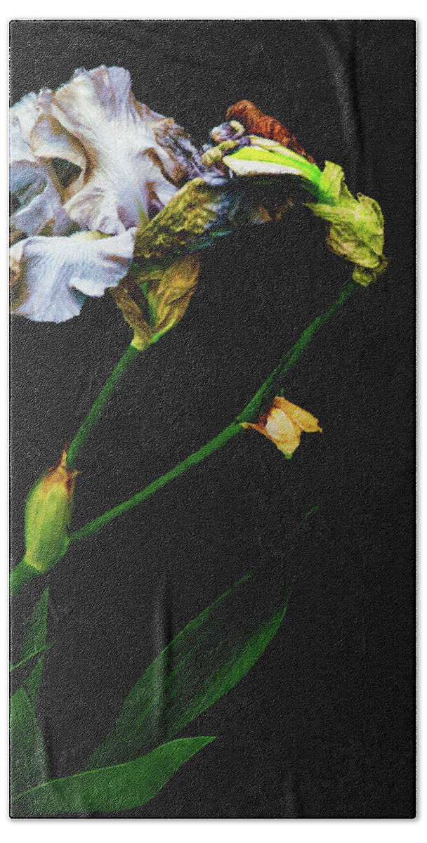 Fine Art Photography Hand Towel featuring the photograph Penetrate the Magical by Cynthia Dickinson