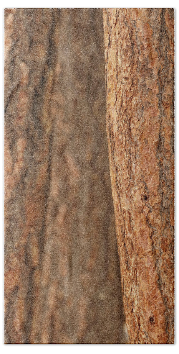 Bend Bath Towel featuring the photograph Ponderosa pine bark detail #1 by Steve Estvanik