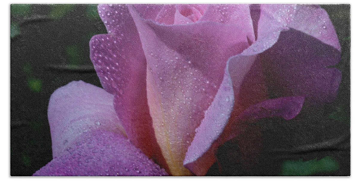 Pink Hand Towel featuring the photograph Sparkle #1 by Doug Norkum