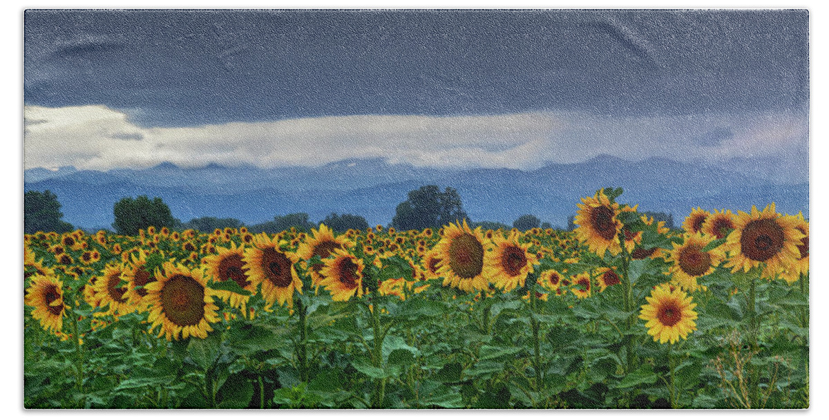 Colorado Hand Towel featuring the photograph Sunflowers Under A Stormy Sky #1 by John De Bord