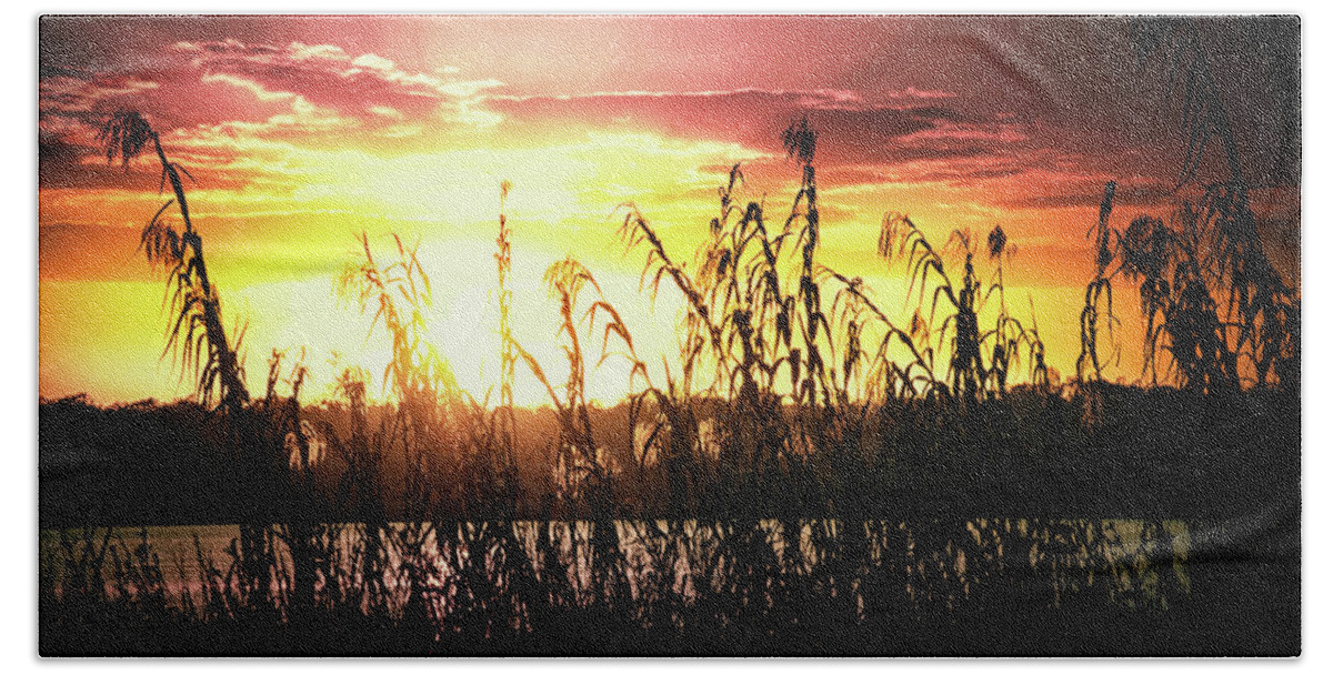 Sunlight Bath Towel featuring the photograph Bright sunset on the lake by Tatiana Travelways