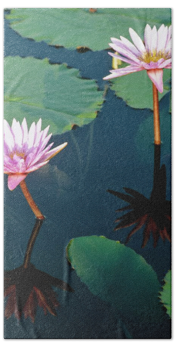 Ip_11213989 Hand Towel featuring the photograph Water Lillies In Water Garden #1 by Evan Sklar