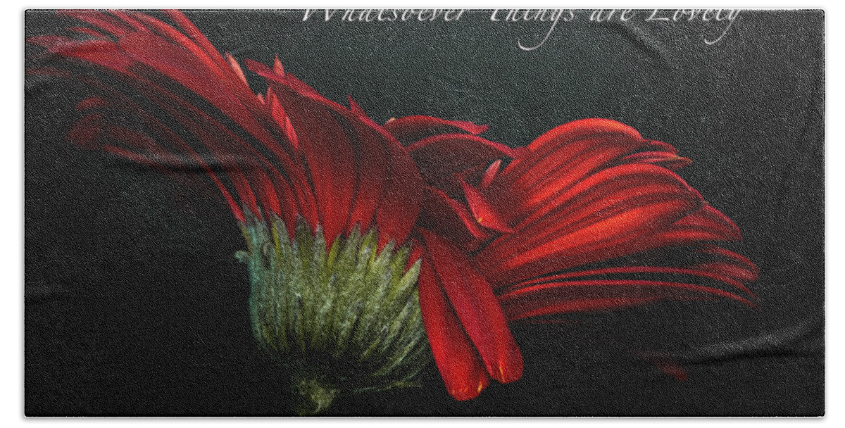 Gerber Daisy Hand Towel featuring the photograph Whatsoever Things are Lovely #1 by Joni Eskridge