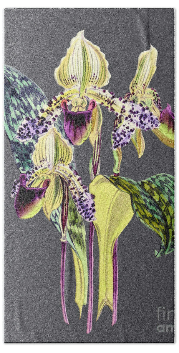 Vintage Bath Towel featuring the digital art Orchid Old Print #12 by Baptiste Posters