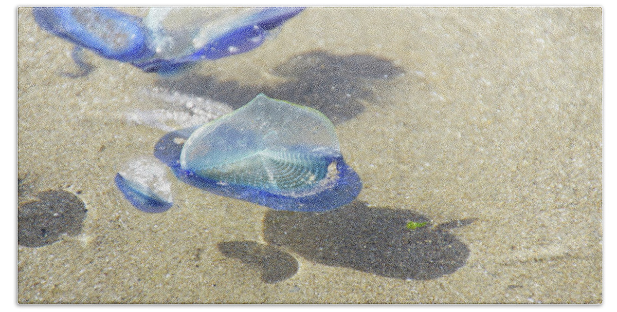 Coast Bath Towel featuring the photograph Blue jellyfish #2 by Steve Estvanik